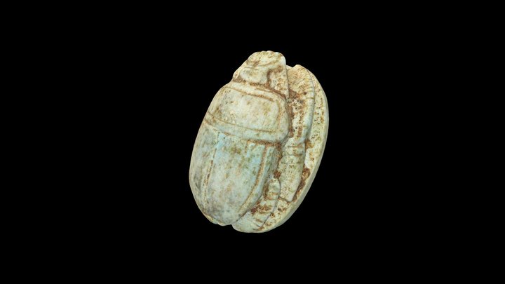 Scarab 3D Model