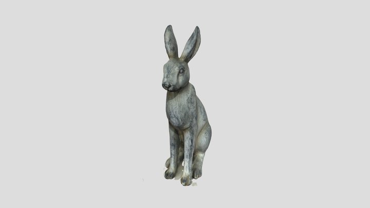 HARE 3D Model