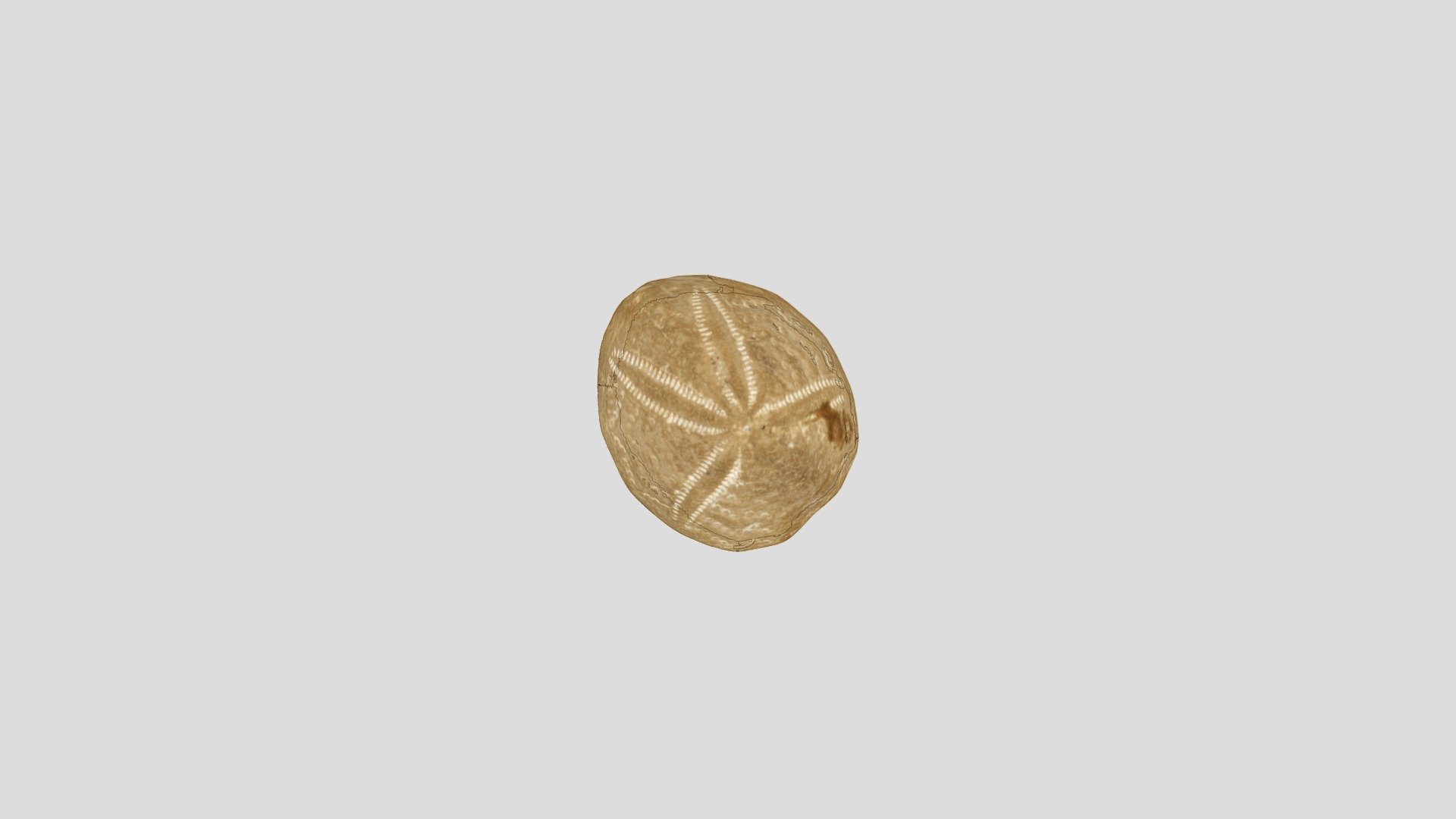 fossil 200