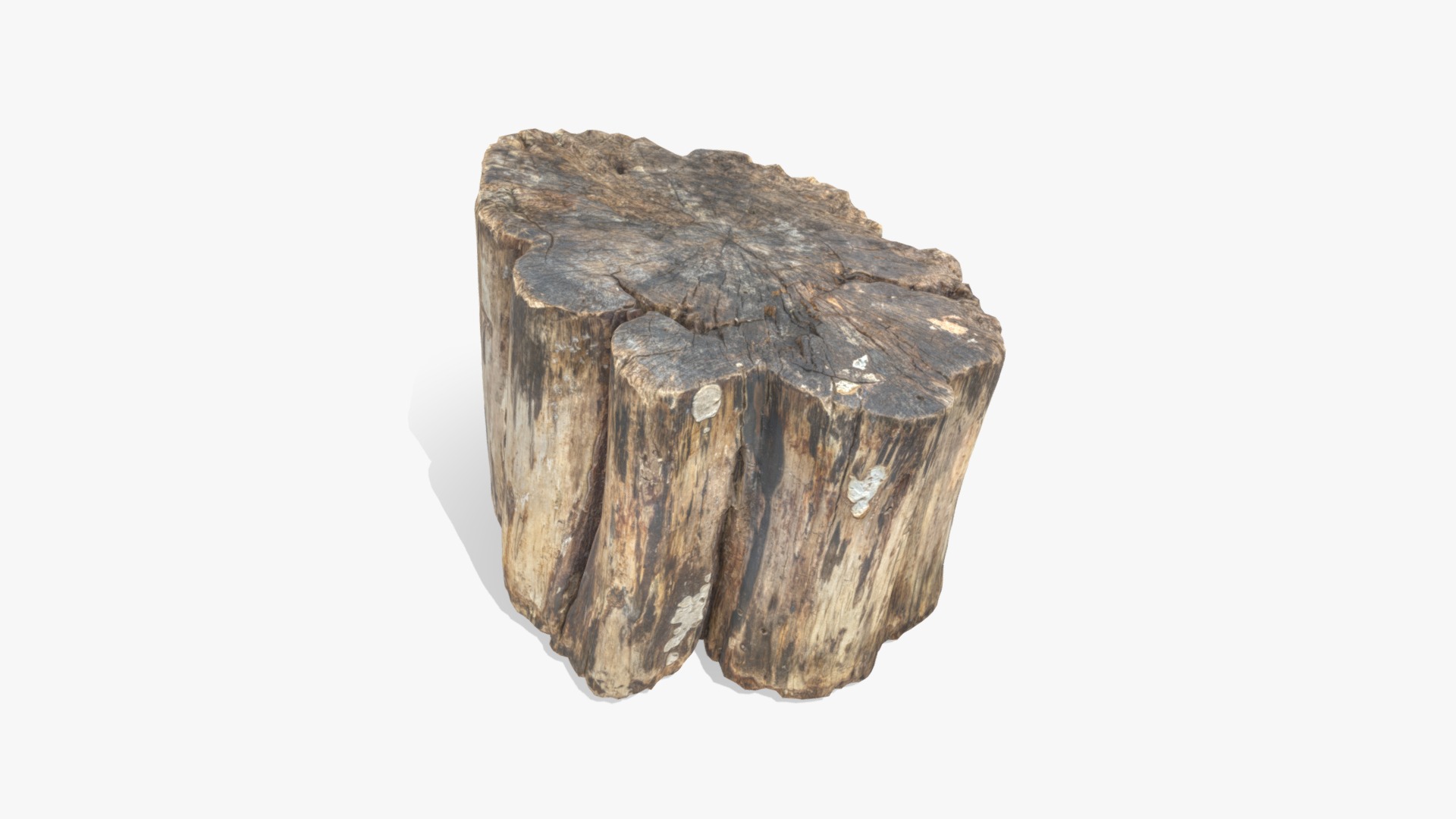 3D model Log Rotten