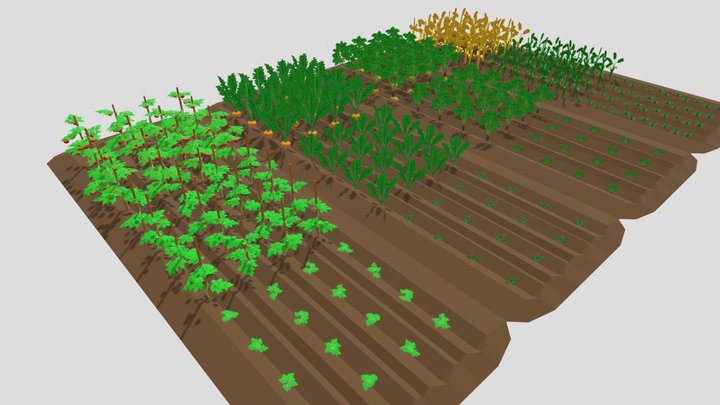 Crops (low poly) 3D Model