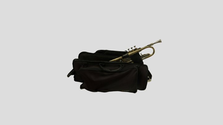 Trumpet bag 3D Model