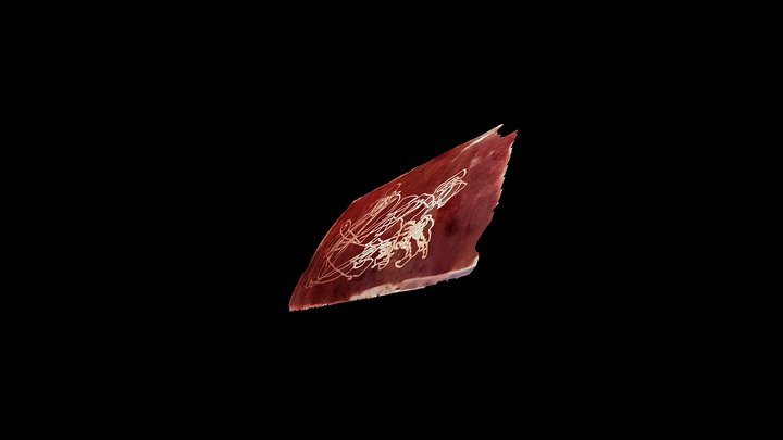 Leg 3D Model