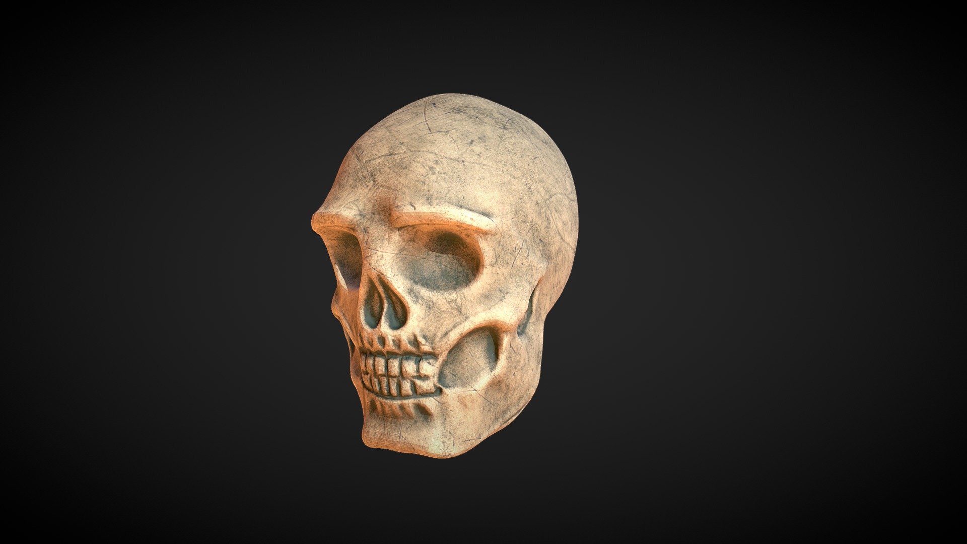 Skull