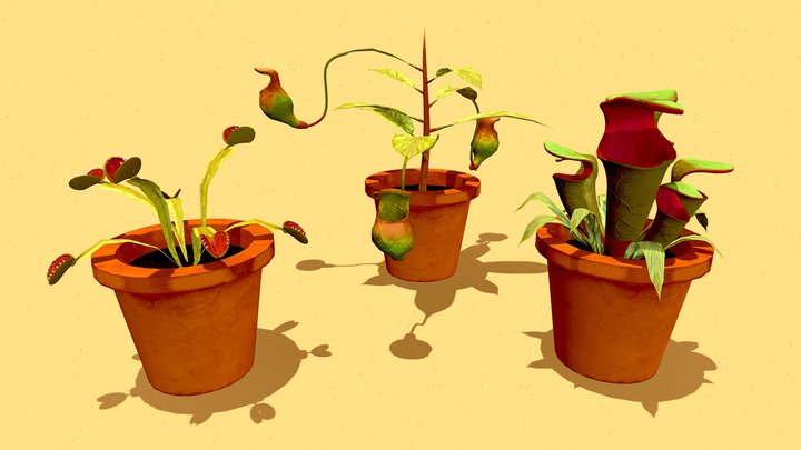 Foliage Props: Carnivorous Plants 3D Model