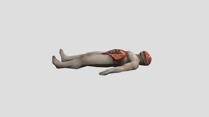 Cadaver 3D Model