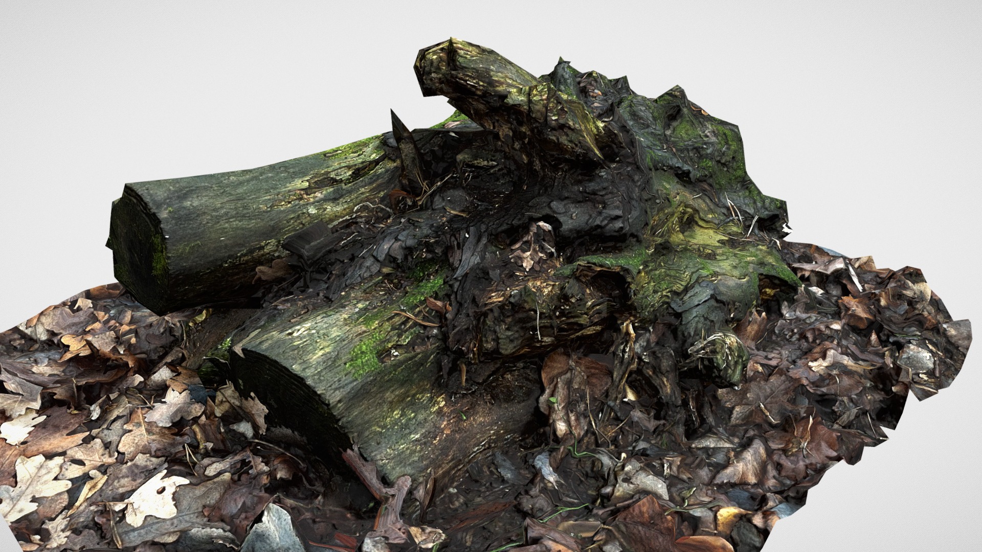 3D model Old rotten log scanned - This is a 3D model of the Old rotten log scanned. The 3D model is about a pile of marijuana.