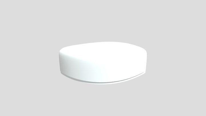 Version 1 3D Model