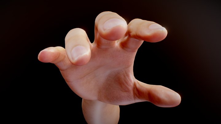 Hand Scan - rigged and animated 3D Model