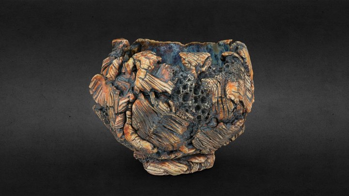 平松龍馬／HIRAMATSU Ryoma　Tafoni 茶碗 3D Model