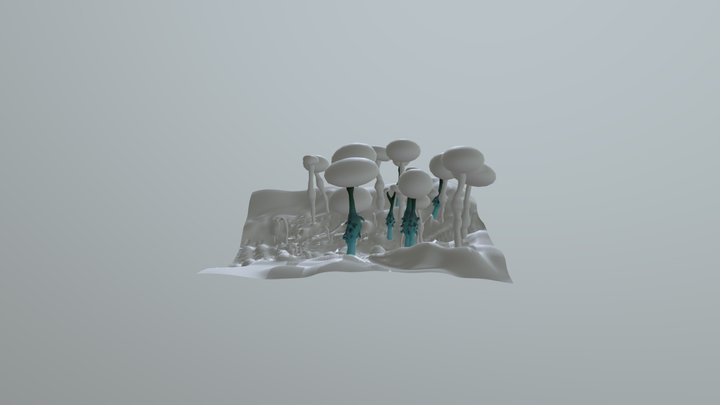 Nausica Practice 3D Model
