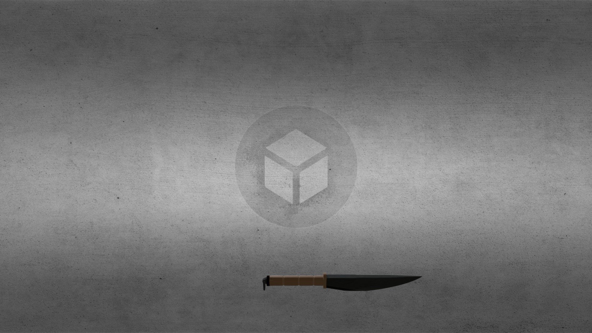 Сombat Knife