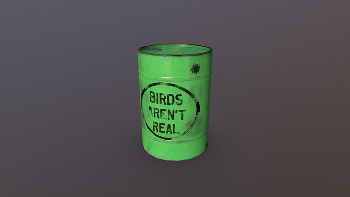 Birds Are Not Real 3D Model