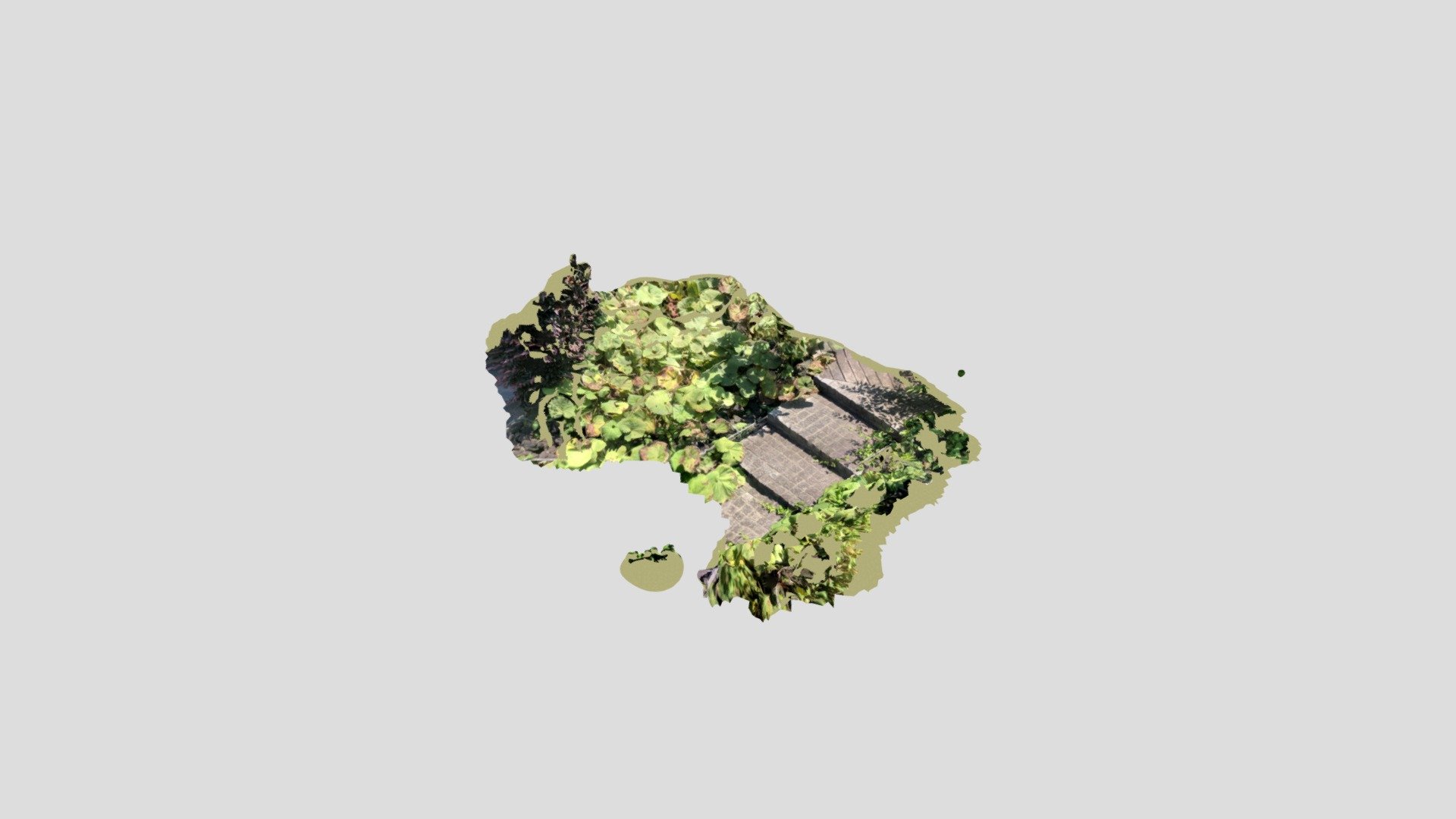 small garden