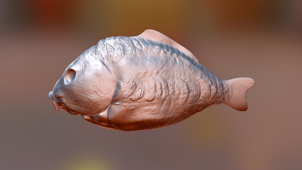 Carp Fish for Lure