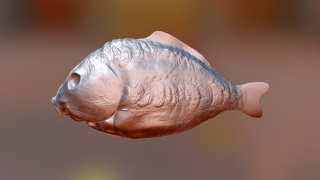 Carp Fish for Lure 3D Model