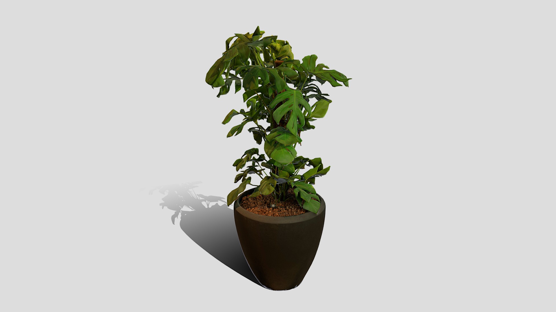 3D model Plant 2 - This is a 3D model of the Plant 2. The 3D model is about a plant in a pot.