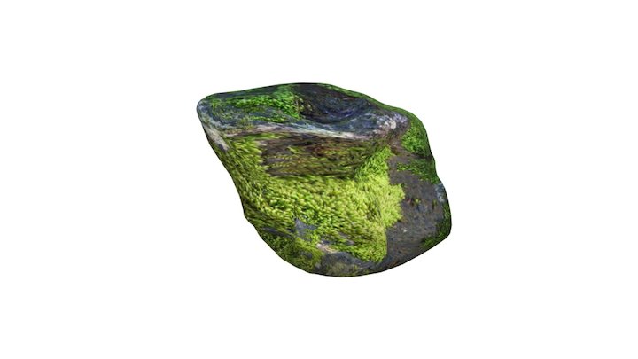 Mossy Rock 3D Model