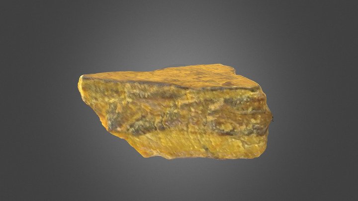 Tiger Eye 3D Model