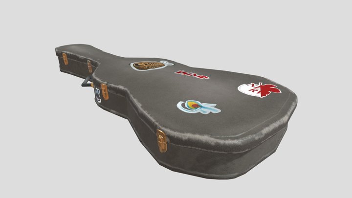 Guitar Case
