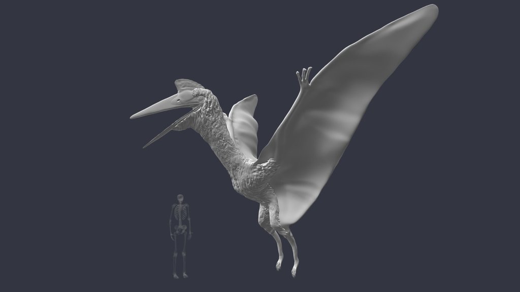 Quetzalcoatlus northropi - Download Free 3D model by Idaho ...