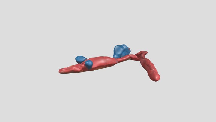 Snakey the snake – Free 3D Model STL