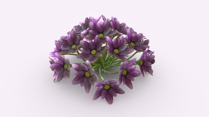 3December #7 Flower Bouquet 3D Model