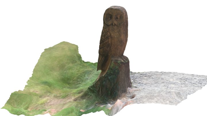 UPDATED Muncaster Castle Great Grey Owl, Cumbria 3D Model
