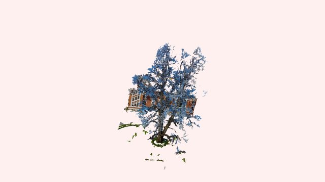 NMBU iconic tree 3D Model
