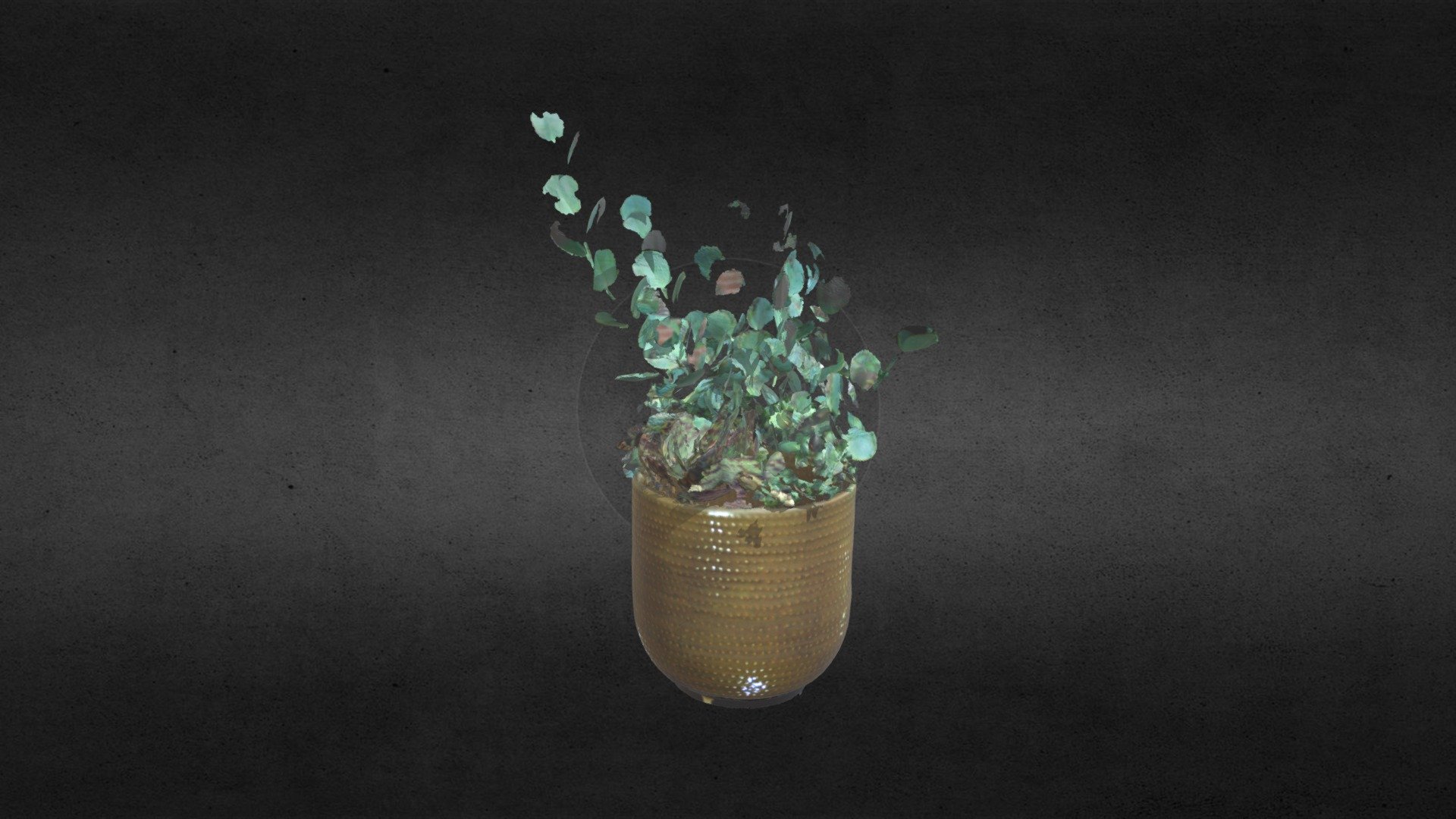 Plant 01