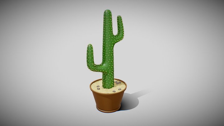 Cactus 3D Model