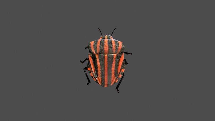 striped bug – Modelo 3D gratuito STL
