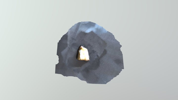 MODEL 3D Model