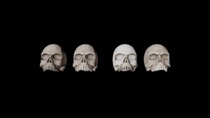 Free Skull 3D Model