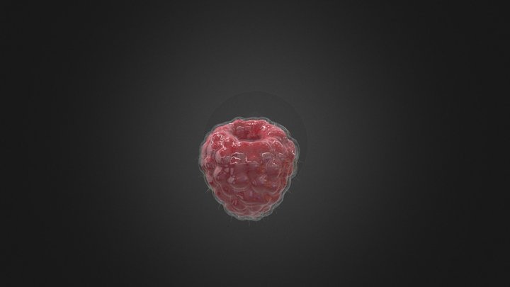 Candied Raspberry 3D Model