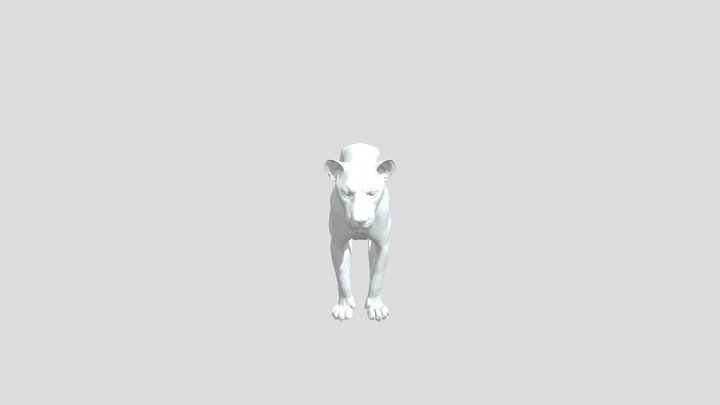 Female-lion 3D Model