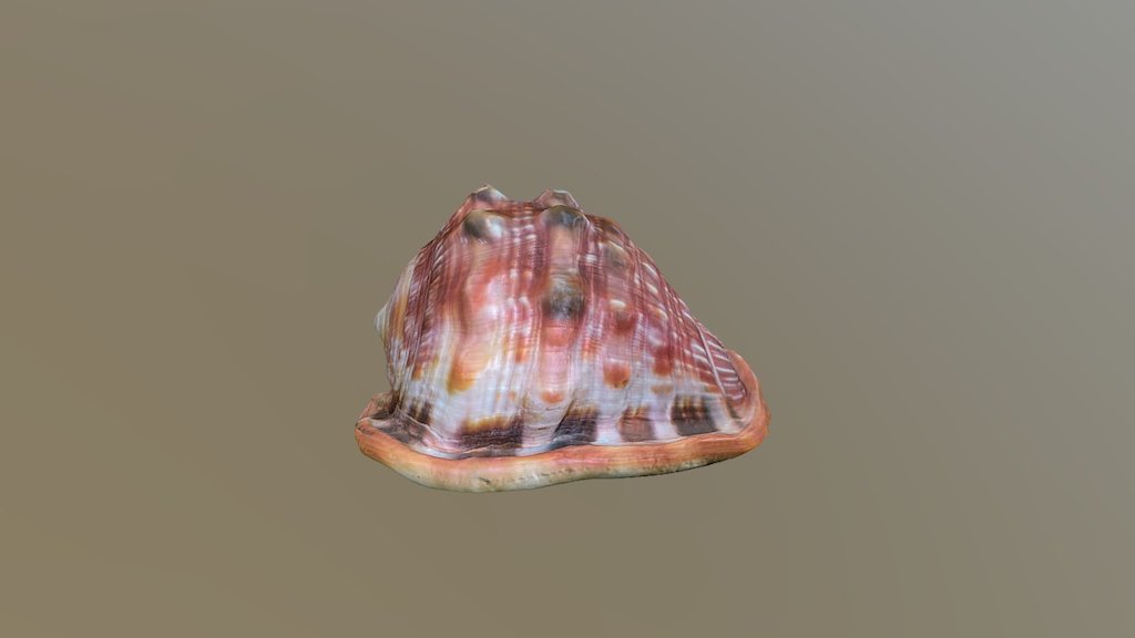 Photogrammetry_test_3