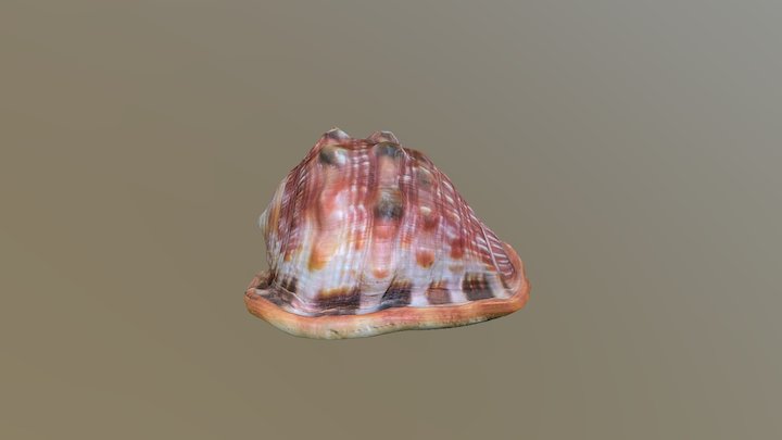 Photogrammetry_test_3 3D Model
