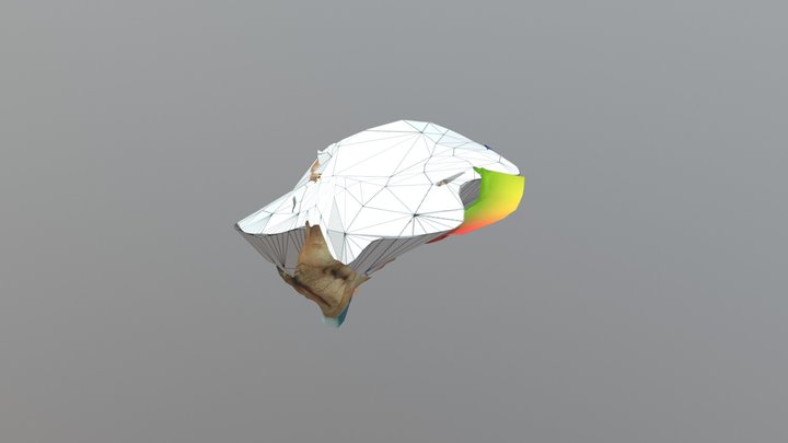 Sculpture20180323132033 3D Model