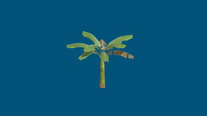 Small Banana Tree 3D Model