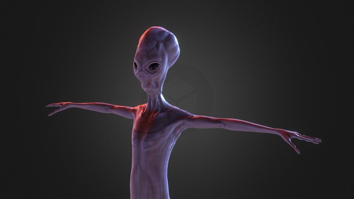 Alien Creature T-pose 3D Model