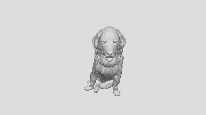 Dog_Sonia 3D Model