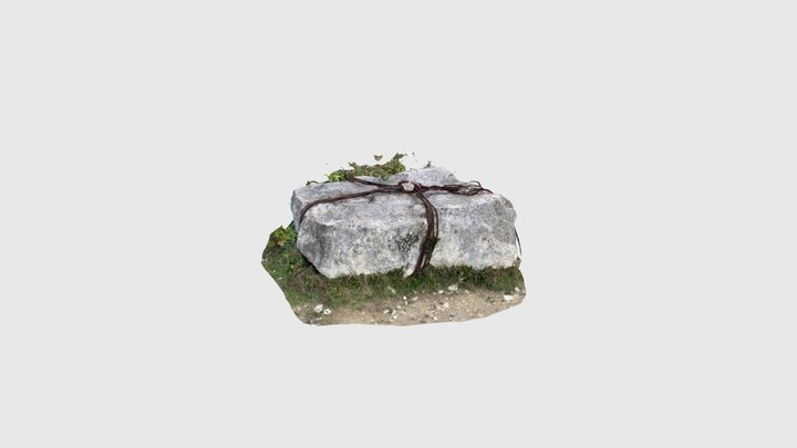 Iron ropes on a rock 3D Model