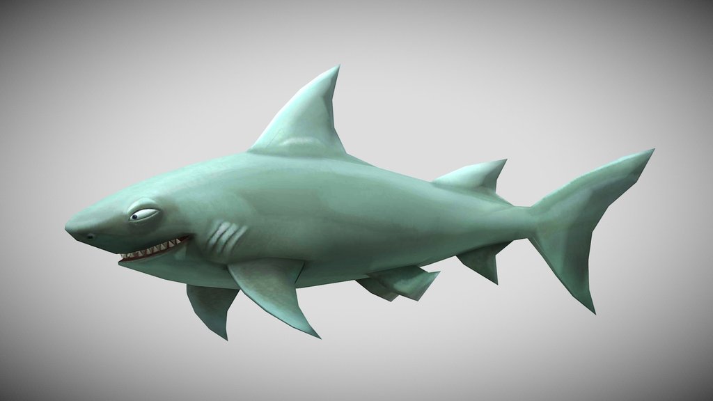 HSE Reef Shark