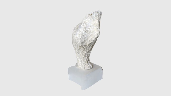 Corallium_speed 3D Model
