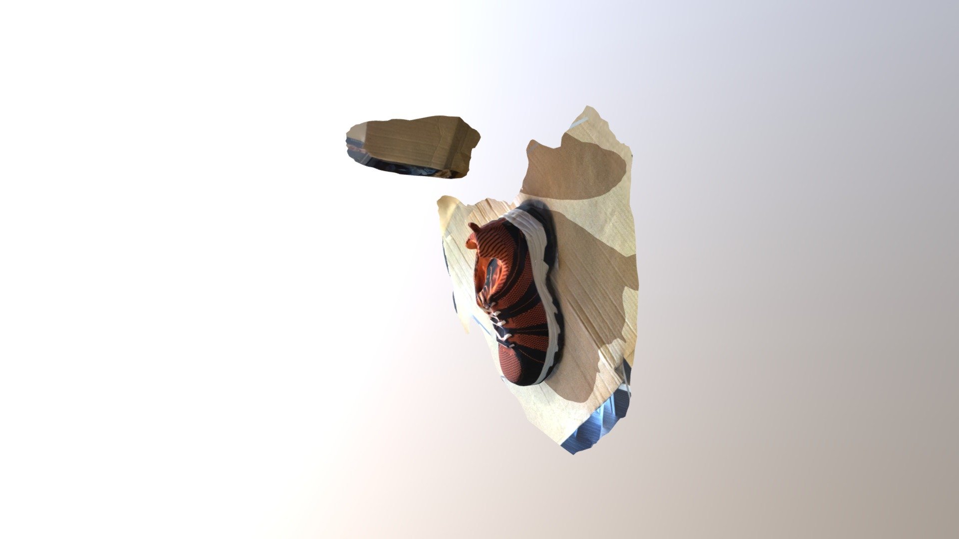 shoe