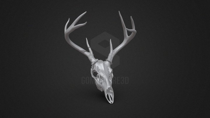 Space Spider Whitetail Buck Skull