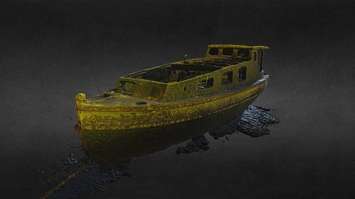 Vinkeveen 21m wrak 3D Model