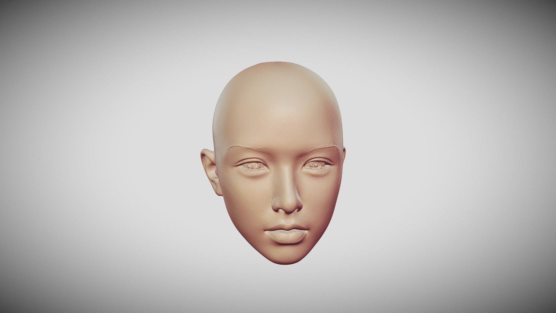 Wax Head Download Free 3d Model By Thunk3d Scanner [63d6319] Sketchfab