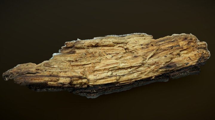 A nice piece of dead wood – Free 3D Model STL